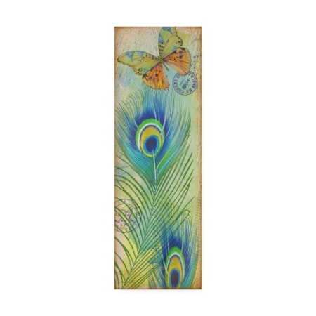 Jean Plout 'Peacock Feather' Canvas Art,16x47